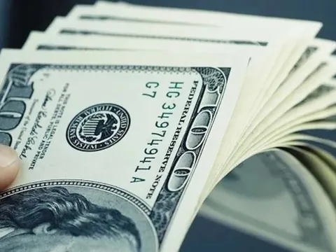 Tỷ giá USD hôm nay 24/1/2026: Thị trường tự do đi ngang, trong ngân hàng biến động nhẹ