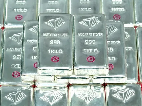 Giá bạc hôm nay 31/1/2026: Bạc Phú Quý, Ancarat giảm rất mạnh, xu hướng đi xuống vẫn tiếp diễn