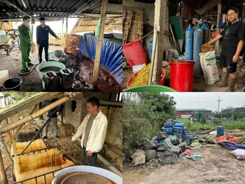 Đấu tranh quyết liệt, hiệu quả với tội phạm môi trường