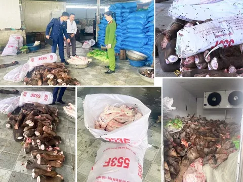 Thu giữ gần 6 tấn thực phẩm bẩn tại Thanh Hóa