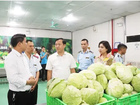 Dưa, cà muối bảo quản không an toàn: nguy cơ gây ngộ độc botulinum?