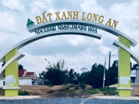 Long An: Tìm bị hại của dự án Đất Xanh Mỹ Hạnh Nam, Thiên Phúc Hoàng Gia, Hưng Thịnh Cát Tường 