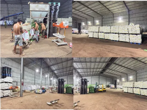 Triệt phá đường dây sản xuất phân bón giả, thu giữ hơn 200 tấn nguyên liệu