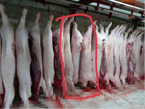 Vụ C.P Việt Nam bị tố bán heo bệnh: Không khởi tố vụ án nhưng niềm tin người tiêu dùng vẫn "lơ lửng"?