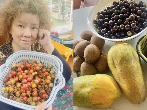 Trọng Tấn và dàn nghệ sĩ sở hữu nhà vườn rộng rãi