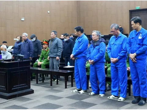 Cựu Chủ tịch HĐTV Vicem hầu toà