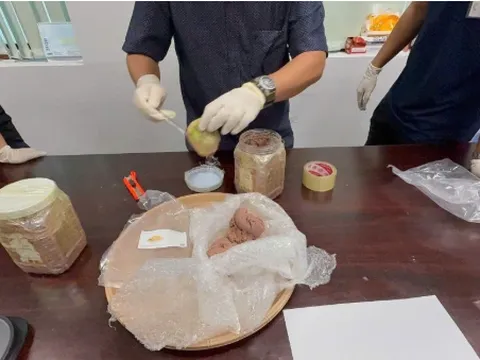 Hải quan phát hiện, xử lý 1.787 vụ buôn lậu, gian lận thương mại trong một tháng