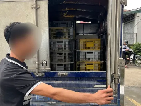 Xã Đại Xuyên: Xử lý 4 trường hợp vận chuyển gia cầm vi phạm quy định thú y