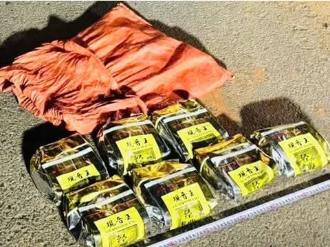 Hải quan liên tiếp phát hiện, bắt giữ các vụ vận chuyển ma túy lớn