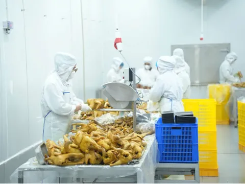 Bộ Y tế chỉ đạo khẩn, yêu cầu tăng cường kiểm tra đột xuất, ngăn chặn “thực phẩm bẩn” len lỏi vào học đường