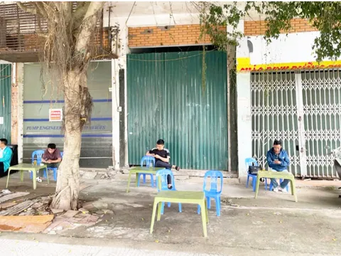 Sớm đưa vào sử dụng hàng chục nghìn mét vuông nhà kinh doanh dịch vụ bị bỏ hoang Bài 2: Vừa thiệt hại kinh tế, vừa mất mỹ quan khu đô thị