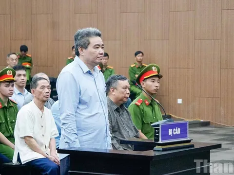 Giám đốc Công ty Hoàng Dân kháng cáo, xin giảm án