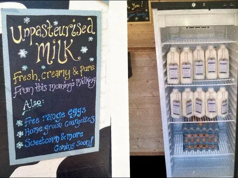 Xu hướng tiêu thụ sữa thô tại Anh: Rủi ro sức khỏe bị bỏ ngỏ