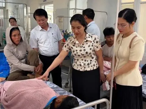 Khẩn trương điều tra, xử lý vụ nghi ngộ độc thực phẩm sau khi ăn bánh mì ở Quảng Trị