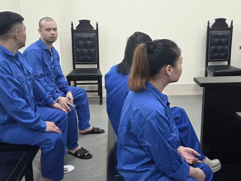 Đặt tiền dưới gốc cây để mua ma tuý