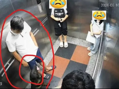 Thú cưng không thể là “lá chắn” cho hành vi coi thường cộng đồng