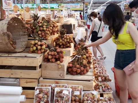 Vải thiều vào vụ thu hoạch, Hà Nội hỗ trợ các địa phương tiêu thụ