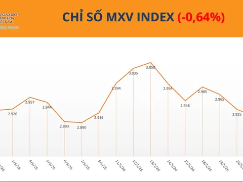 Thị trường phân hóa, MXV-Index giằng co
