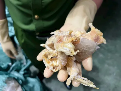 Công an Hà Nội phá đường dây tuồn hàng nghìn tấn chân gà nhập lậu ra thị trường