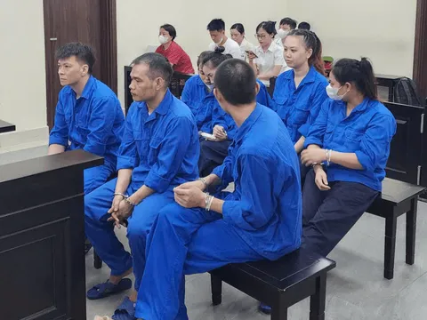 Xét xử đường dây môi giới mua bán thận