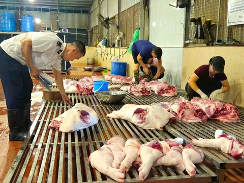 Kiểm tra đột xuất hoạt động giết mổ động vật tại các xã Trần Phú, Bình Minh và phường Chương Mỹ