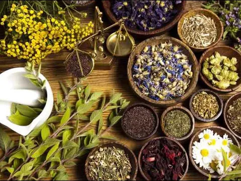 Phát huy vai trò của y học cổ truyền trong chăm sóc, nâng cao sức khỏe nhân dân