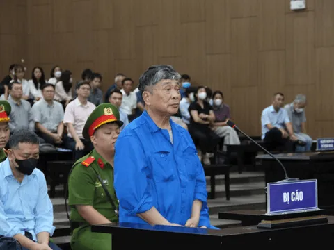 10 bị cáo trong vụ án Bệnh viện Bạch Mai, Việt Đức cơ sở 2 kháng cáo