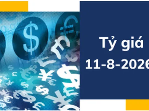Tỷ giá USD ngày 11-8: USD nhích tăng, thị trường chờ tín hiệu từ CPI Mỹ
