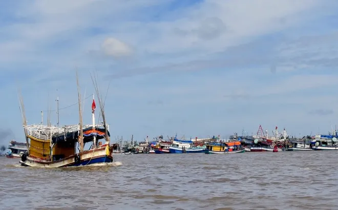 Sắp xét xử công khai vụ ngư phủ trốn ra nước ngoài đánh bắt thuỷ sản
