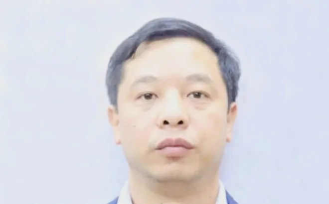 Khởi tố, bắt tạm giam Phó Tổng Giám đốc Công ty CP xi măng Hạ Long