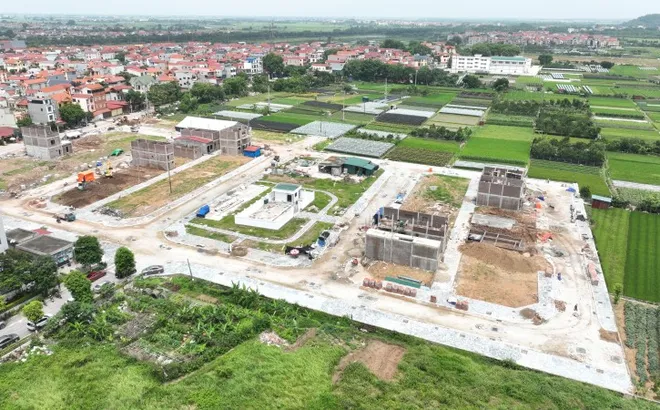 Cần xử lý nghiêm hành vi đầu cơ, thao túng giá nhà đất