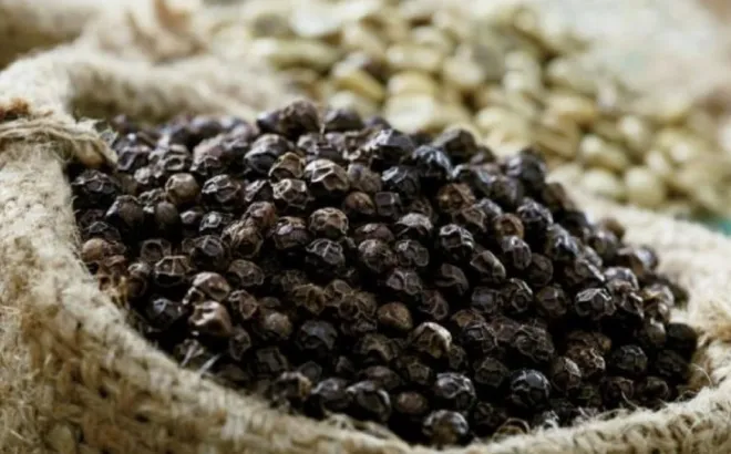 Giá tiêu hôm nay 14/12: các tỉnh Tây Nguyên đồng loạt tăng, thêm 1.000 đồng/kg