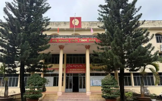 Đắk Lắk: bắt tạm giam 2 cán bộ TAND tỉnh Đắk Lắk