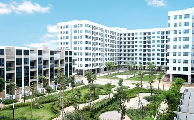 Bản tin bất động sản từ 9-15/12: Thu hồi hơn 1,2 triệu m2 nhà, đất công