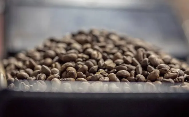 Giá cà phê hôm nay 5/2/2025: 2 sàn cùng tăng, Arabica liên tục lập kỷ lục