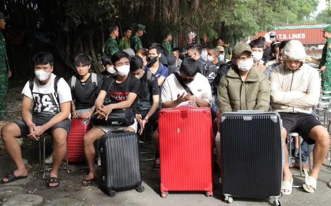 Công an TP Hồ Chí Minh cảnh báo chiêu lừa đảo “việc nhẹ lương cao”