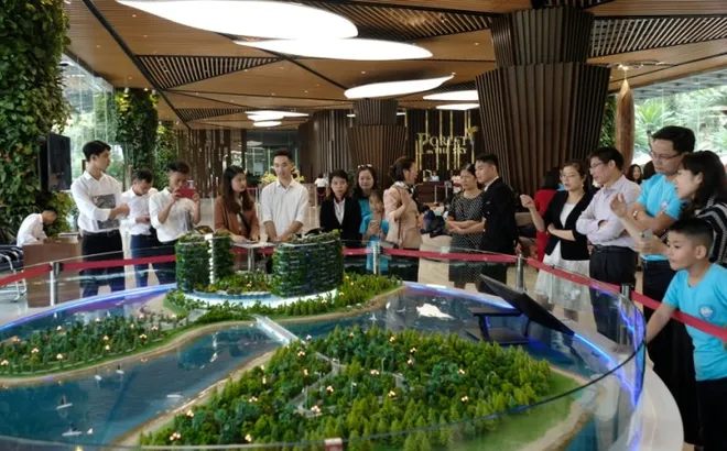 Sốt đất, thật hay ảo?