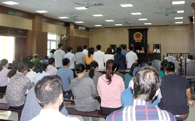 Thanh Hóa: tuyên án 44 bị cáo trong vụ đưa, nhận hối lộ đông từ trước đến nay