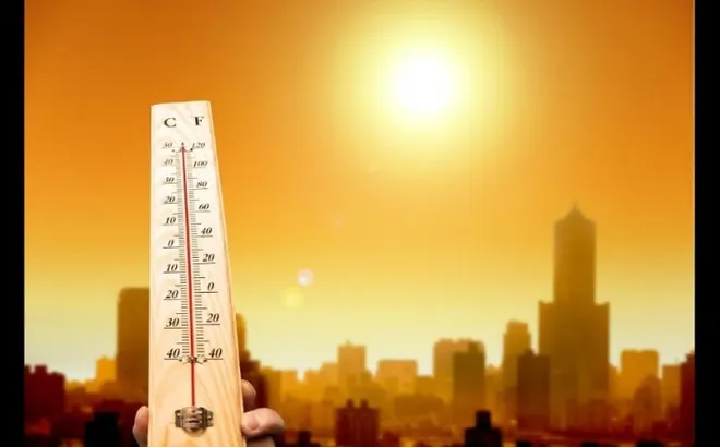 Những bệnh ngoài da mùa hè thường gặp và cách phòng tránh