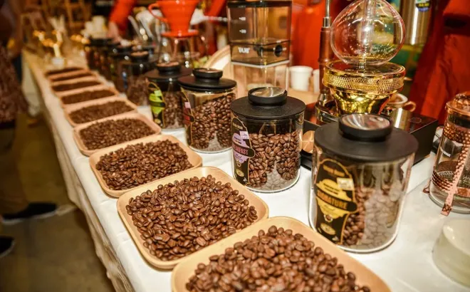 Giá cà phê hôm nay 27/5/2025: đạt hơn 4 tỷ USD trong 5 tháng, cà phê xuất khẩu đang phá vỡ kỷ lục