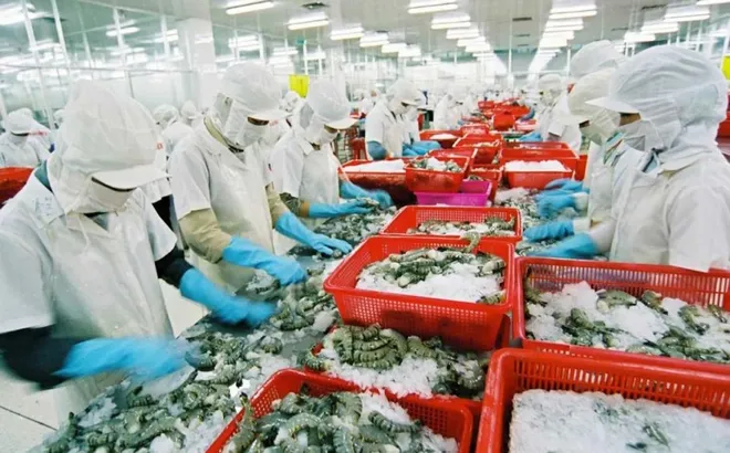 Thúc đẩy chuỗi cung ứng nông sản Việt Nam - Hoa Kỳ