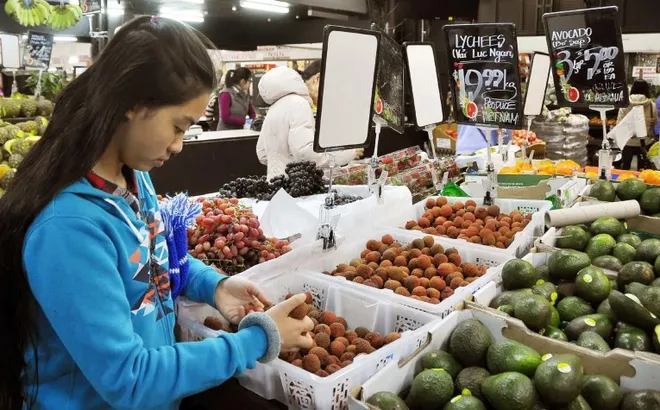 Chìa khóa để trái cây Việt vươn xa: Từ mã vùng trồng đến chiến lược thị trường