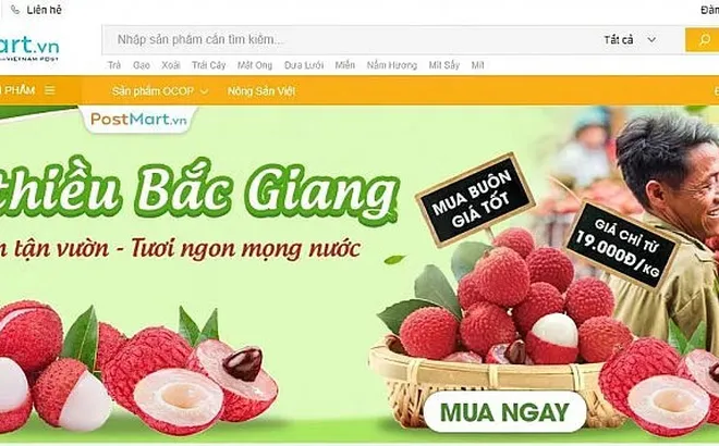 Nâng giá trị cho trái vải thiều Việt Nam