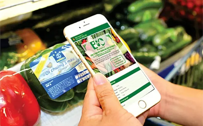 Tiếp tục rà soát xuất xứ, truy xuất nguồn gốc hàng hóa