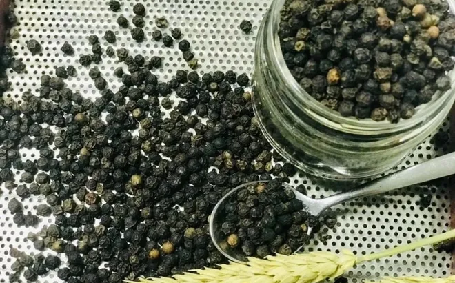 Giá tiêu hôm nay 4/7/2025: diễn biến lạ của giá tiêu trong nước