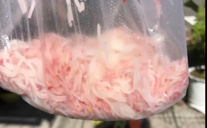 Vụ bún tươi chuyển màu đỏ ở Đà Nẵng: cơ sở sản xuất bị tạm dừng hoạt động