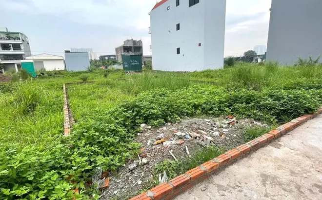 Mức độ quan tâm đất nền giảm mạnh sau "cơn sốt" ngắn hạn