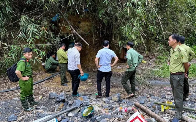 Xử lý các đối tượng khai thác vàng không phép trong rừng phòng hộ Đắk Glong