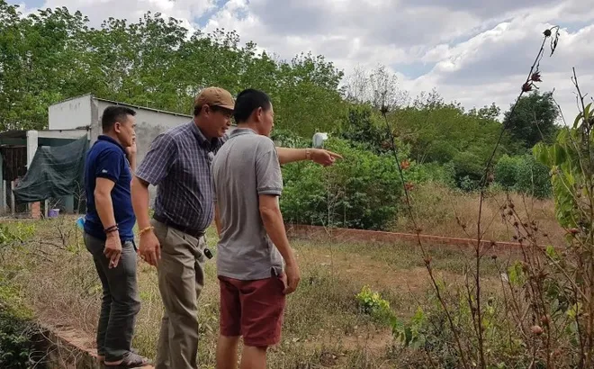 Môi giới bất động sản phải có chứng chỉ hành nghề và làm tại công ty chính danh