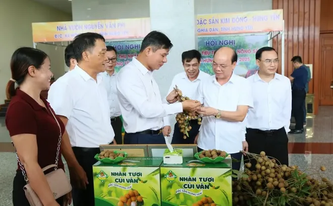 Hưng Yên xúc tiến tiêu thụ nhãn và nông sản năm 2025